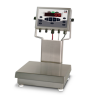 Over Under Checkweigher Scales