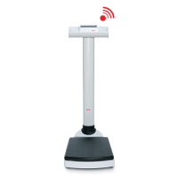 seca 704 Class III High-Capacity Digital Column Scale with Wireless Connectivity