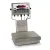 Industrial Weighing 