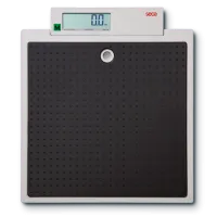Flat scales seca 875