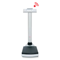 seca 704 Class III High-Capacity Digital Column Scale with Wireless Connectivity