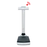 Column Scales