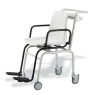 Chair Scales